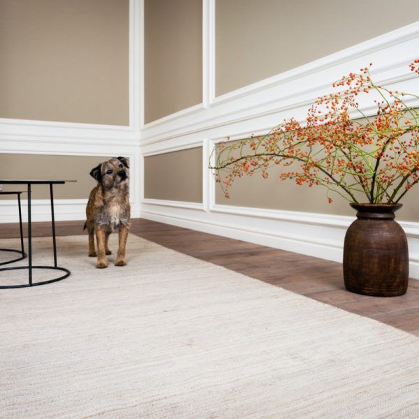 Dog next to wall panelling